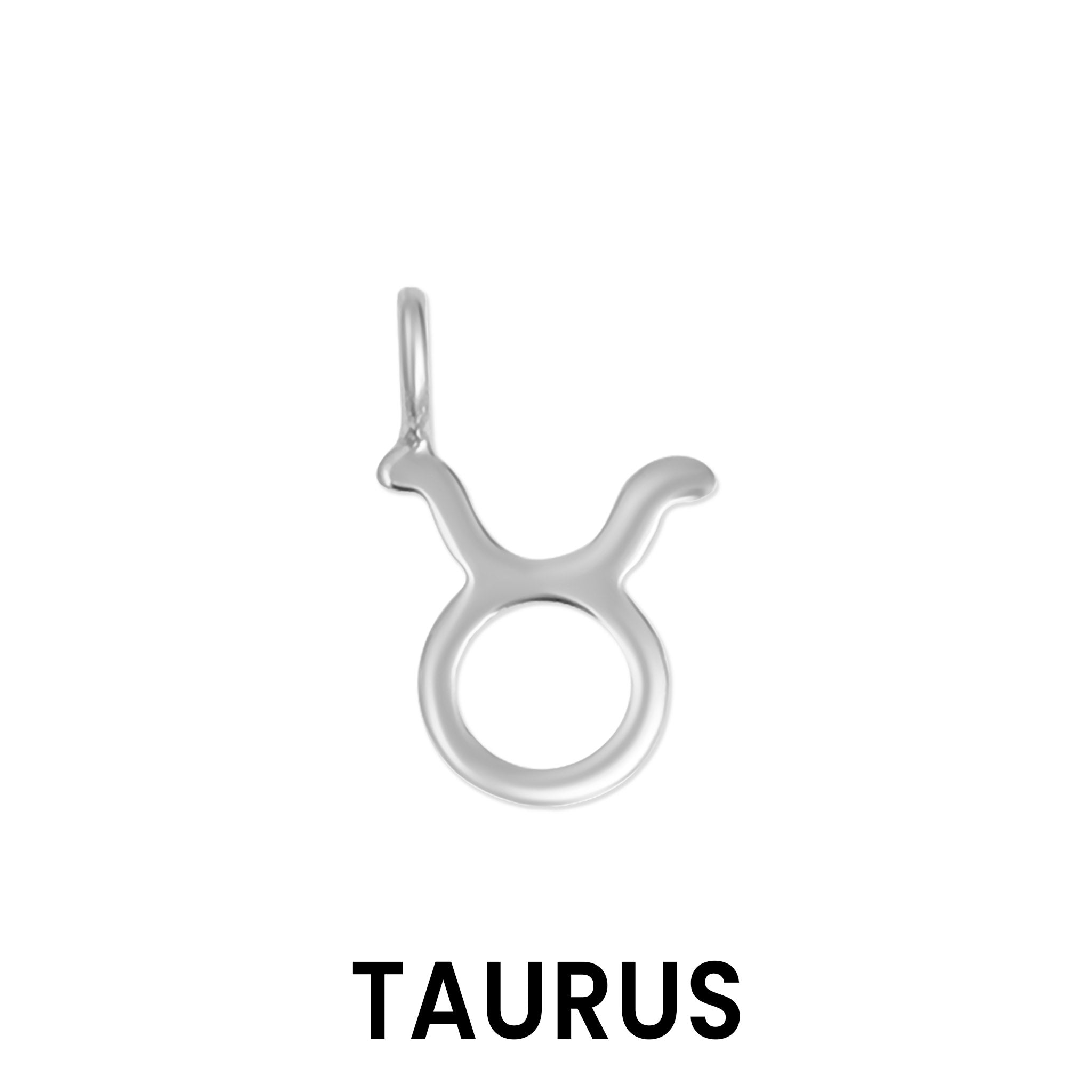 Permanent Jewelry .925 Sterling Silver Zodiac Charms