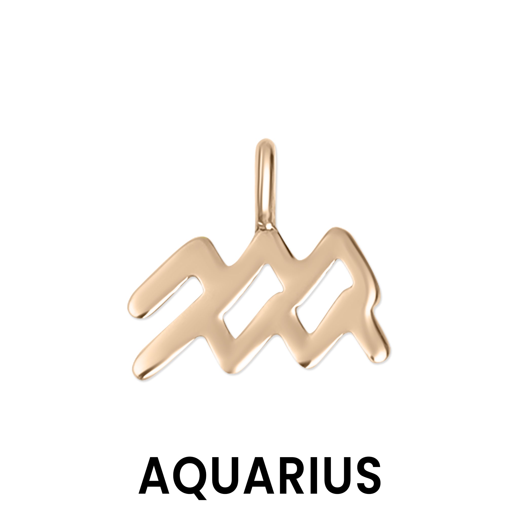 Permanent Jewelry 14K Solid Rose Gold Zodiac Charms