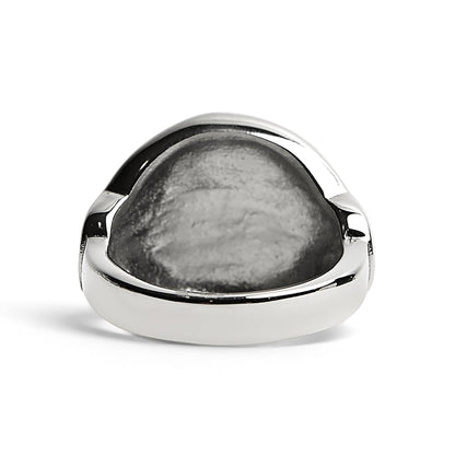 Stainless Steel Medieval Sword and Shield Signet Ring