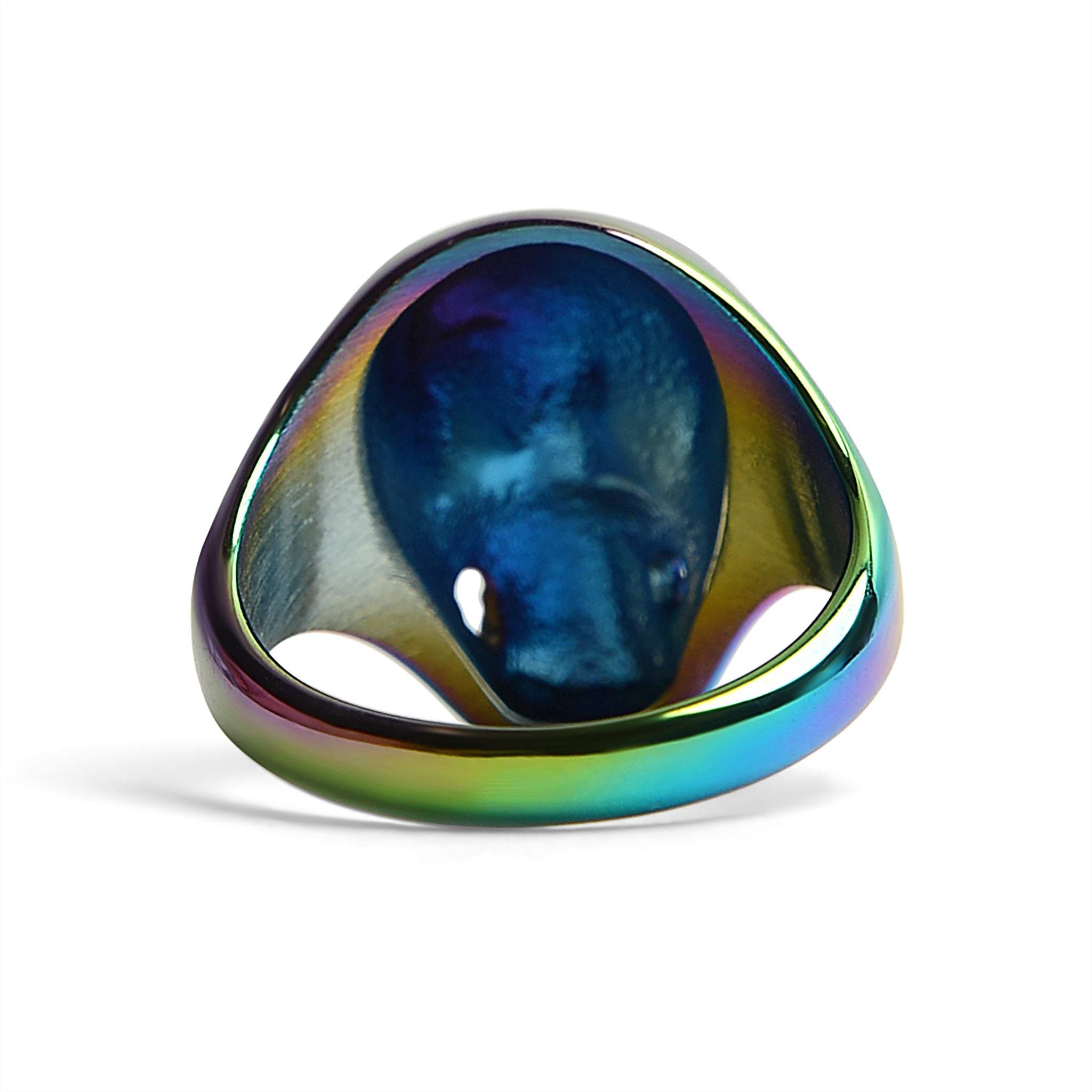 Stainless Steel Rainbow Skull Ring