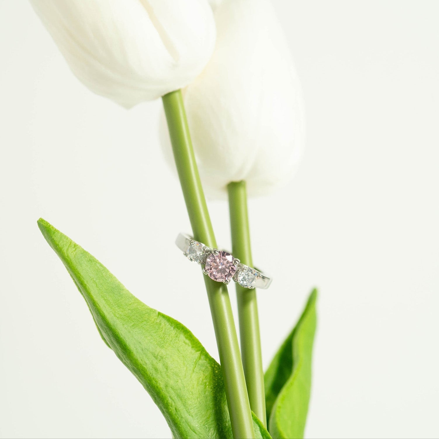 Stainless Steel CZ Accent Birthstone Ring