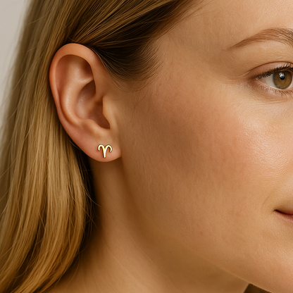 18K Gold PVD Stainless Steel Zodiac Stud Earrings