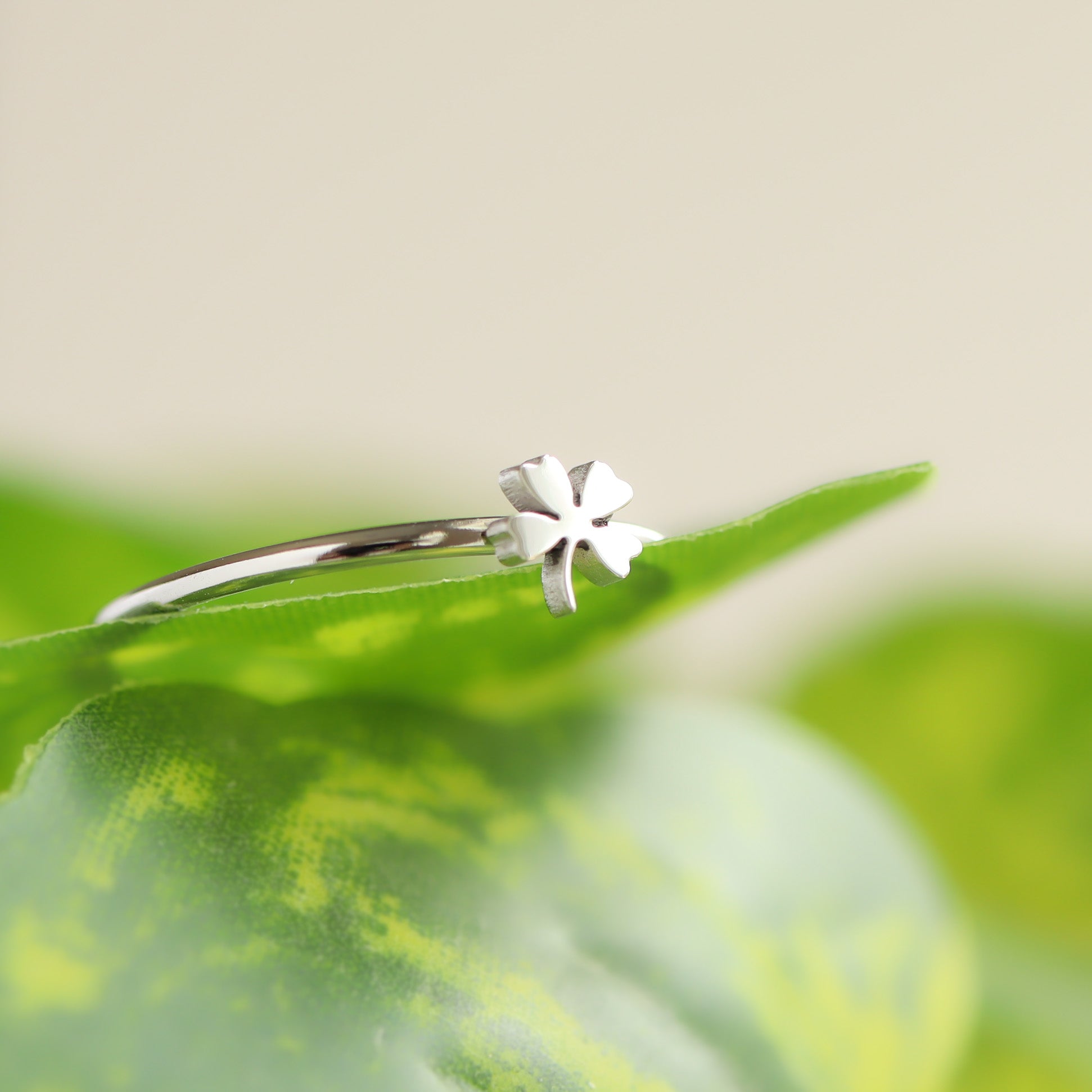 18K Gold PVD Stainless Steel Four Leaf Clover Symbol Ring