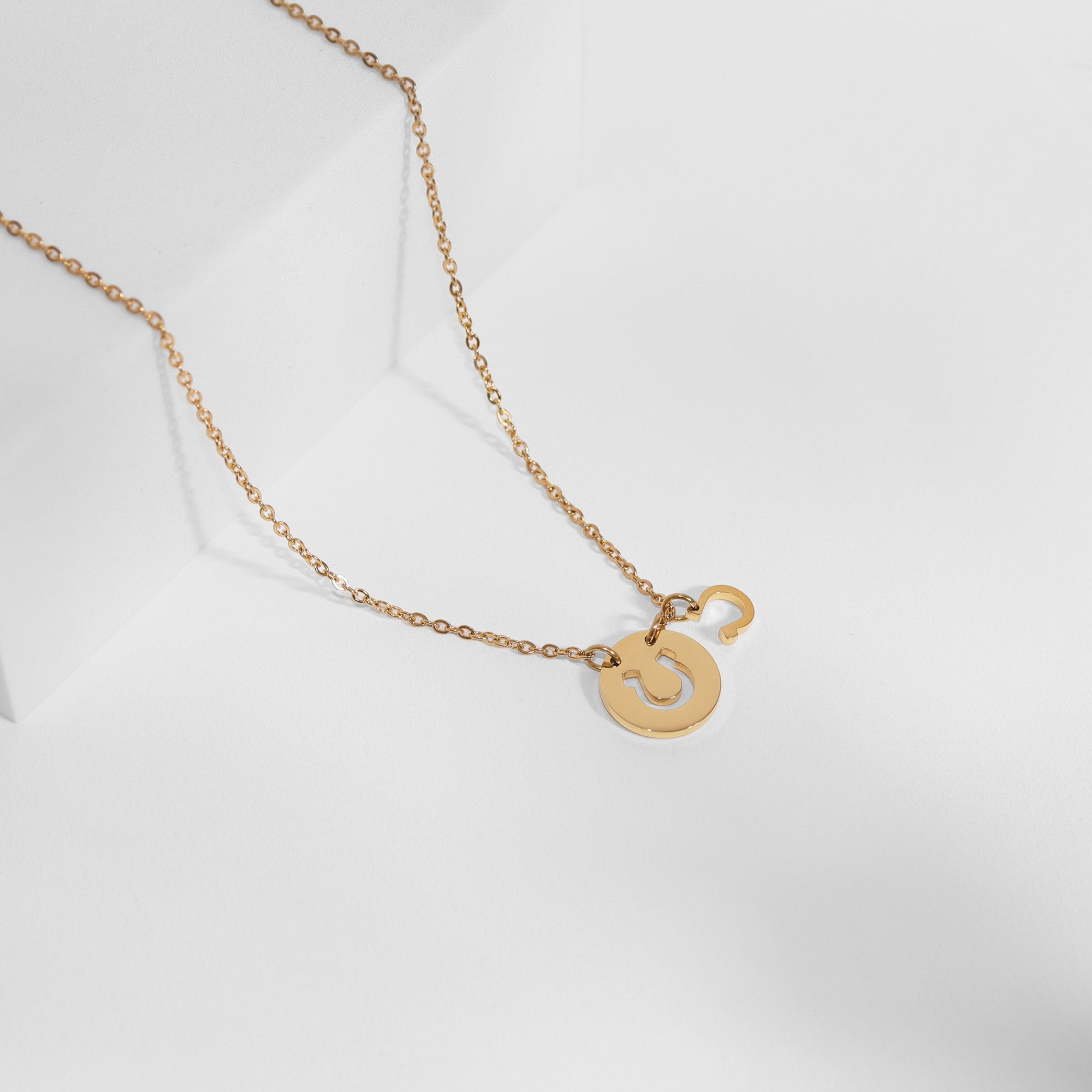 18K Gold PVD Stainless Steel Horseshoe Cutout Necklace