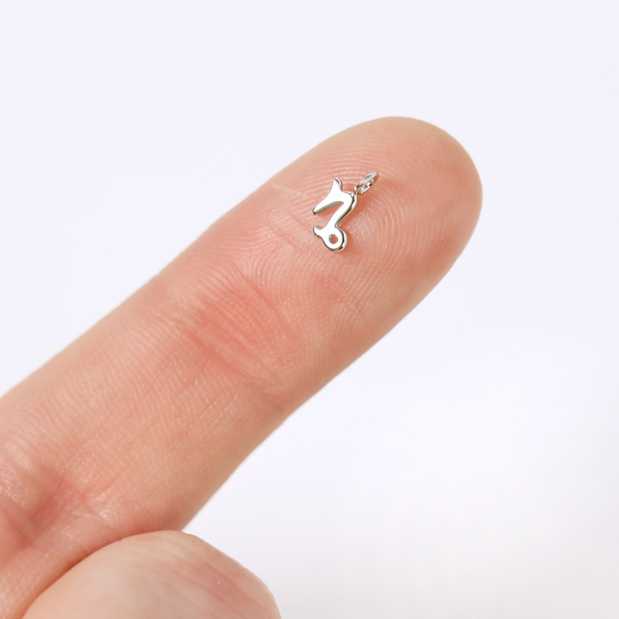 Permanent Jewelry .925 Sterling Silver Zodiac Charms