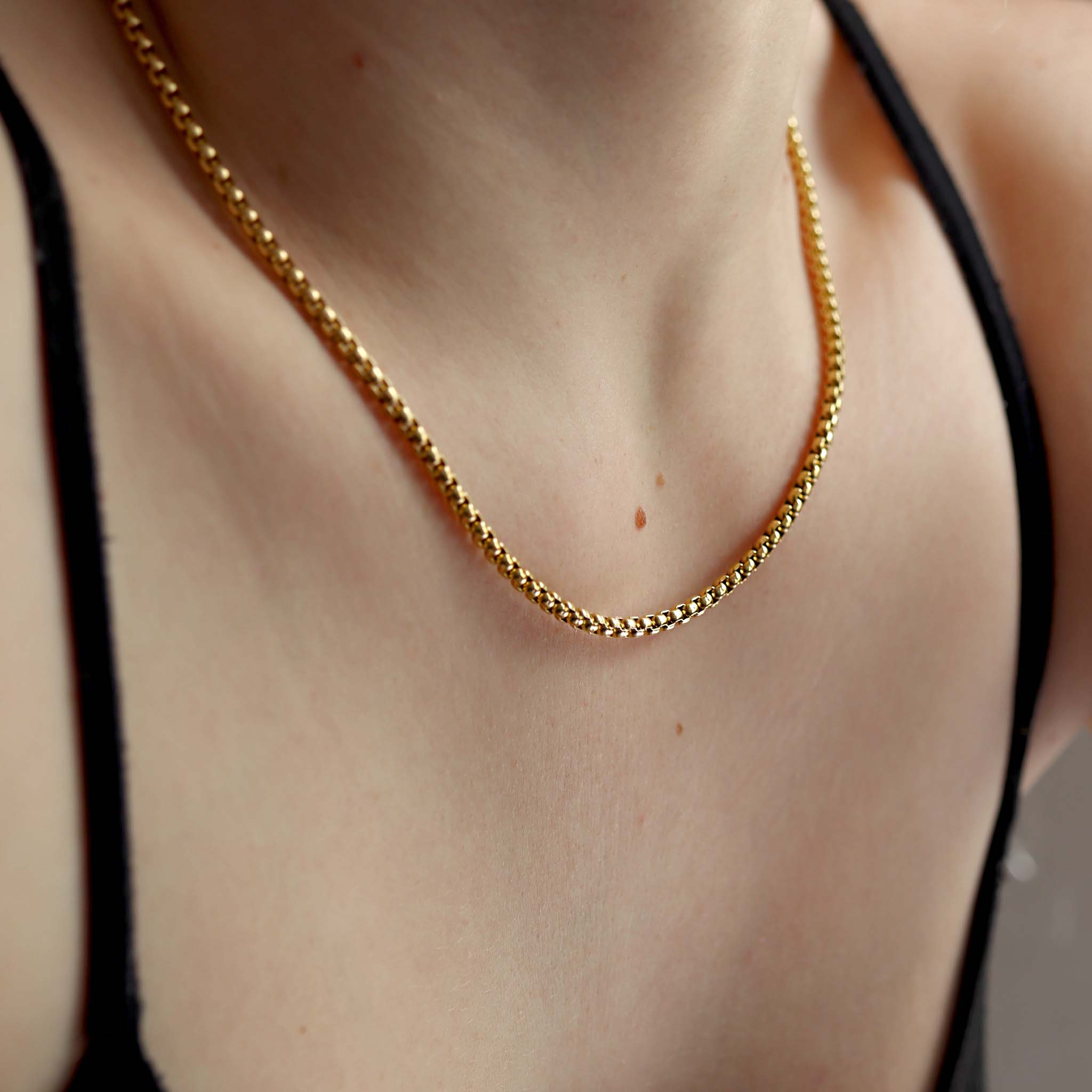 18K Gold PVD Stainless Steel Rounded Box Chain