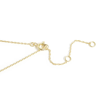 14K Gold Plated Sterling Silver Mother of Pearl Zodiac Pendant Necklace